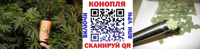 Купить где  Моршанск  Canna-Cookies конопля 