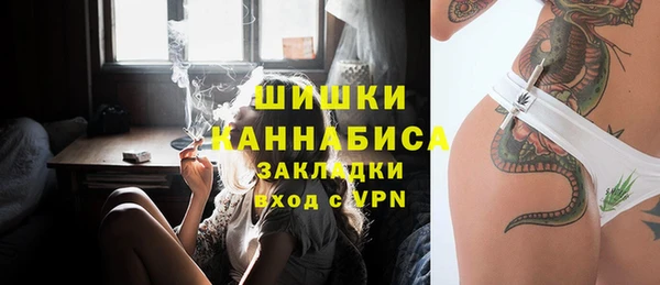 индика Красноперекопск