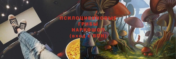 таблы Краснослободск