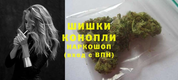 индика Красноперекопск