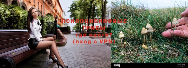 таблы Краснослободск