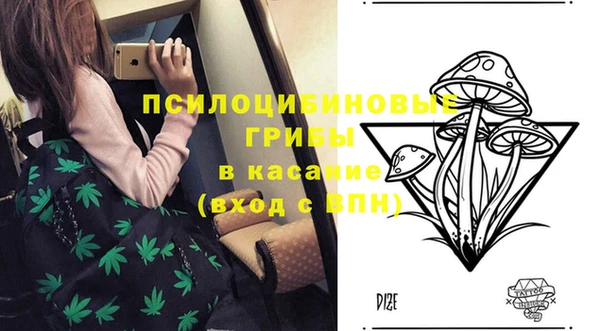 индика Красноперекопск