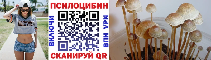 Галлюциногенные грибы прущие грибы  Купить закладки  Моршанск 